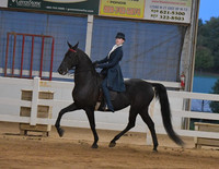 121 Equitation, Saddle Seat Stake