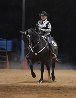123 Morgan Western Pleasure Stake