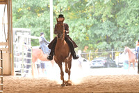 108 Saddlebred 5 Gaited Show Pleasure Stake