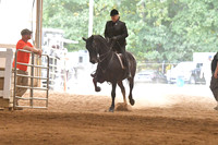 109. Morgan Hunter Pleasure Stake