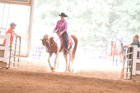 113 Challenge of Breeds Open Western Pleasure Stake