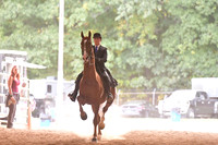 117 Half Arabian Hunter Pleasure ATR