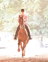 104 Saddlebred 3-Gaited Open Stake