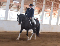 099  Half Arabian Hunter Pleasure Open
