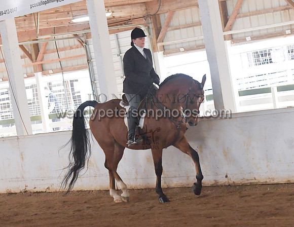 099_1494