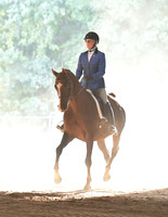 100 Challenge of the Breeds Hunt Seat Pleasure Stake