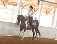 094 Half Arabian Western Pleasure Stake