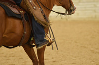 Working Western XIV