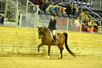 70 Hunt Seat Eq NTJ 13 & Under