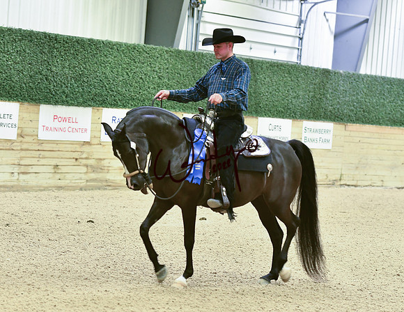 015_0294