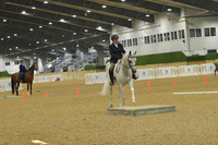 406 Arabian English Trail Horse Open