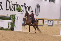 45 HA/AA Park Horse Open