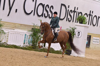 44 HA/AA Hunter Pleasure AOTR