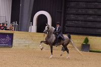 42 HA/AA English Pleasure Open