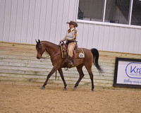 30-32 Arabian Ranch Horse Riding