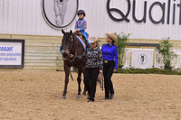 33b Leadline