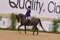 35 HA/AA Hunter Pleasure JTR 14 & Under