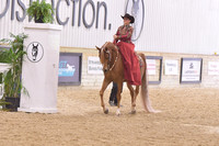 27 Arabian Ladies Side Saddle Open