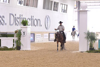 23 HA/AA Western Pleasure Junior Horse