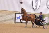 21 HA/AA Pleasure Driving Open