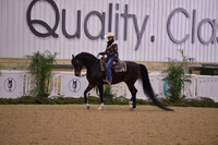 8 Western Pleasure Schooling Class8 Western Pleasure Schooling Class