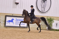 9 English/Country Pleasure Schooling Class