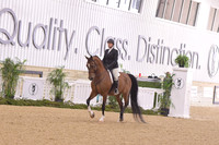 9A – AHA Hunter Seat Equitation AATR