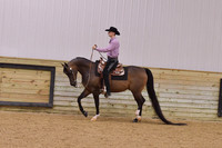 12 HA/AA Western Pleasure Ladies & Gents
