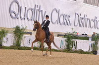 12A – UPHA All Breed Challenge Cup JTR 14 – 17