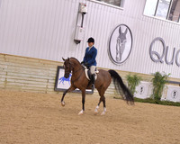 13 Arabian Hunter Pleasure Open