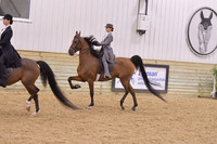 20A – UPHA All Breed Challenge Cup JTR 13 & Under