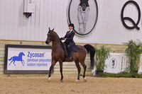 69 Saddle Seat Equitation Walk/Trot 10 & Under