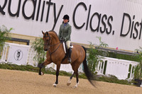 68 HA/AA Hunter Pleasure JTR