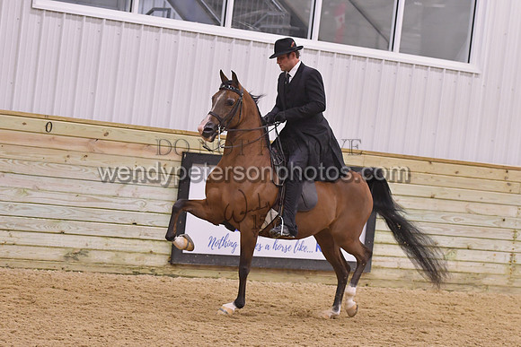 128_5131