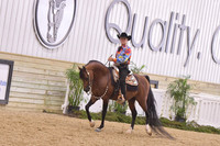 18 Arabian Western Pleasure Open