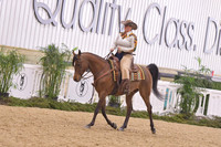 19 Arabian Ranch Horse Rail Pleasure Open
