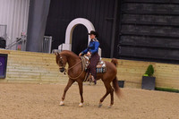 73 Arabian Western Pleasure Junior Horse