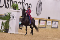 74 HA/AA Country English Pleasure JTR