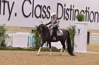 75 HA/AA Western Pleasure ATR Select Rider