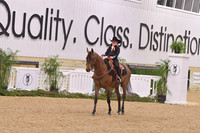 48 Ranch Rail Pleasure Walk/Trot 10 & Under