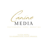 CANINE / DIGITAL FILES READY FOR DOWNLOAD