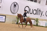 50 Hunter Seat Equitation NTJ JTR 15-18