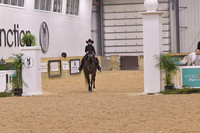 52 Western Seat Equitation Walk Trot 10 & Under
