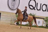 53 UPHA Arabian Breeds Challenge Cup Walk Trot 10 & Under