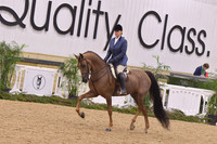 55 HA/AA Hunter Pleasure Open