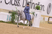 57 HA/AA Ladies Side Saddle Open