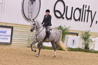 59 Arabian Hunter Pleasure AATR 40 & Over