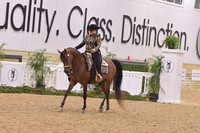 60 Arabian Western Pleasure JTR