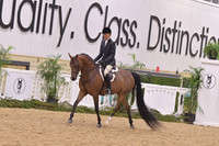 62 HA/AA Hunter Pleasure ATR Select Rider