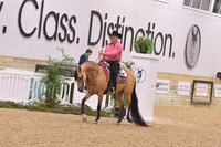 63 HA/AA Western Pleasure ATR